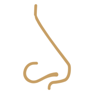 Nose job rhinoplasty